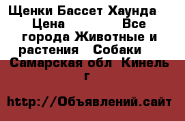 Щенки Бассет Хаунда  › Цена ­ 25 000 - Все города Животные и растения » Собаки   . Самарская обл.,Кинель г.